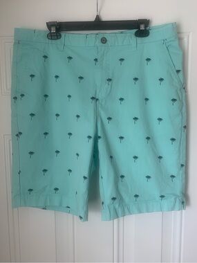 Men's Light Teal Palm-Print Flat Front Shorts Size 36